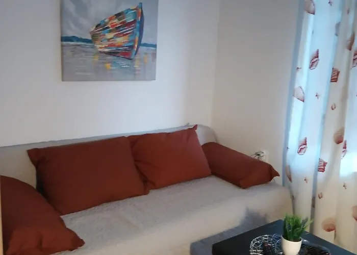Zp44 * Pula