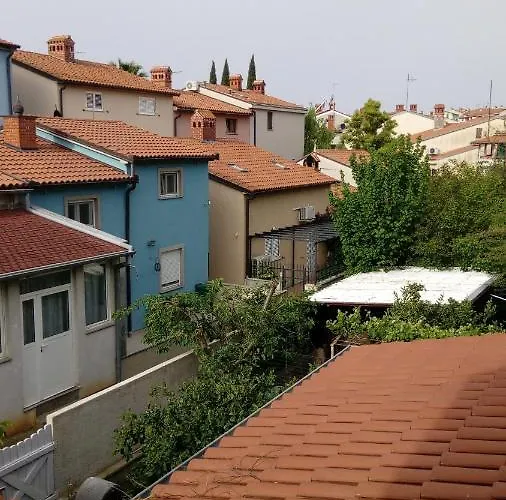 Zp44 * Pula