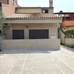 Zp44 *