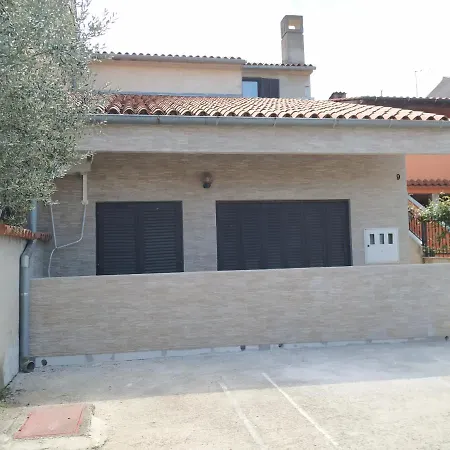 Zp44 * Pola
