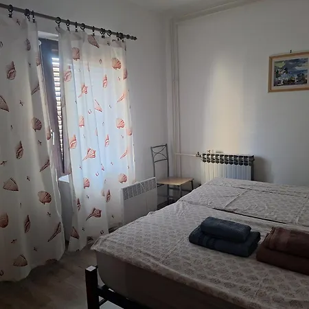 Zp44
